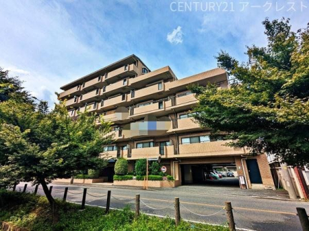 ���̑� �쐼�����ɂ��z����ǍD���K�̂Ȃ������ʒu�A�p�����ŊJ����������܂��I
