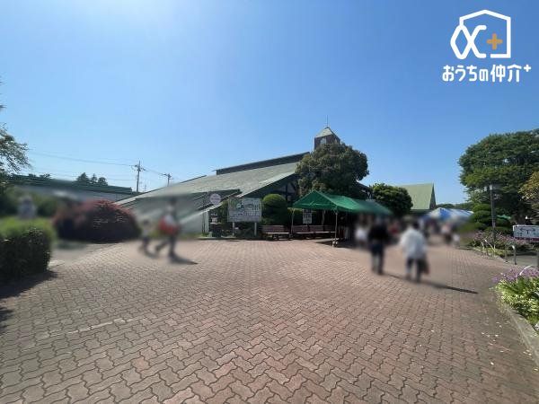 ���ӊ� �T�C�{�N �k��14���B 1100m