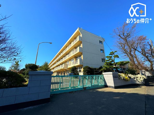���ӊ� ����s���k�쏬�w�Z �k��20���B�~�n���L���A���q�l���L�ѐL�тƉ߂��������o���܂��I 1570m