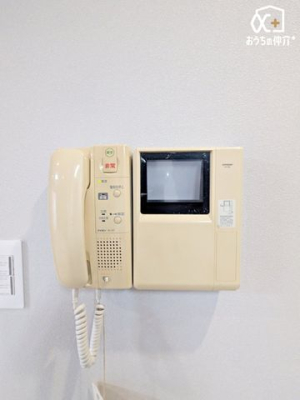 ���̑� TV�t���C���^�[�t�H��