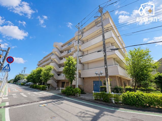 ���n�O�ώʐ^ �`Appearance�`�J���������͓I�B�ׂɍ����������Ȃ��A�����C�ɂ��Ȃ��������Ƃ����������B�ʕ��̗ǂ��C�����ǂ��Z���ł��B