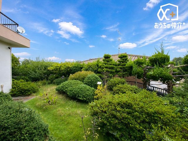���̑� �Ƒ��Ŋy���ތe���̏�B�L�X�Ƃ�������ŉƑ��c����o�[�x�L���[�𖞋i�B�G�߂̉Ԃ�ƒ�؉����y���߂܂��B