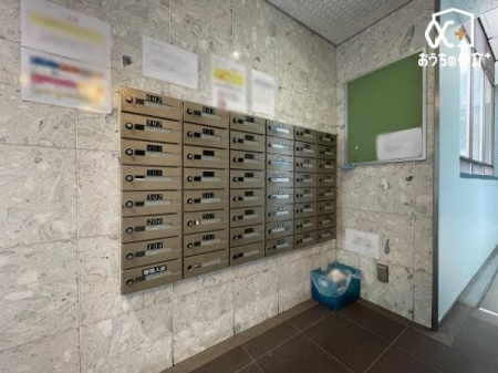 ���̑� �W���|�X�g
