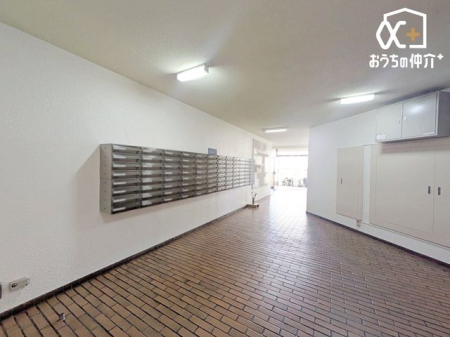 ���̑� �W���{�X�Ƃ����郍�r�[�B�Y��ɐ������Ă���C�����̗ǂ��}���V�����̌��֌��ƂȂ��Ă���܂��B