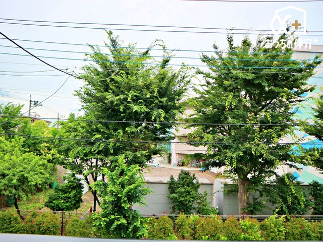 ���̑� �o���R�j�[����̒��]�̗l�q�ł��B���ꂽ���ɂ͐󂪍L����C�����̗ǂ��ꏊ�ł��B