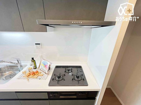 �L�b�`�� ������������O���R�����̗l�q�ł��B�u�߂�E�ύ��ޓ��̍�Ƃ������ɏo����R�����ł��B