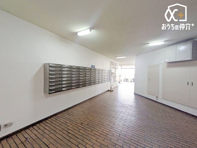 ���̑� �W���{�X�Ƃ����郍�r�[�B�Y��ɐ������Ă���C�����̗ǂ��}���V�����̌��֌��ƂȂ��Ă���܂��B