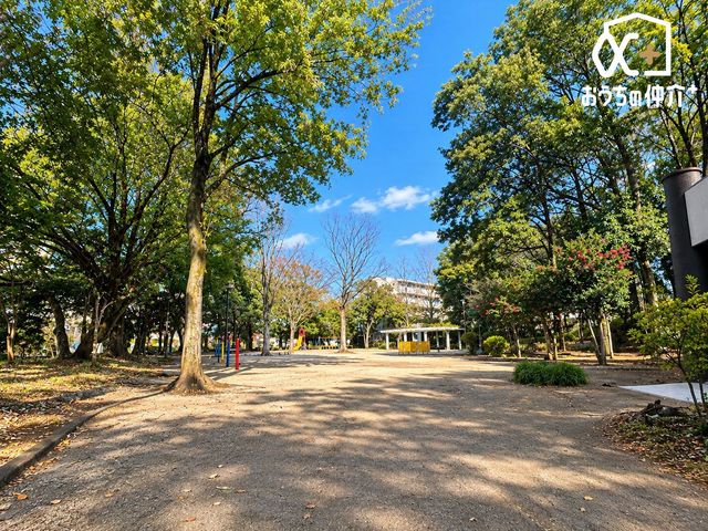 ���ӊ� �֕��������� �k��21���B�ՐÂȓ����݂̒��ɂ���L�������B�΂��L���ŗ����������ł��B 1670m