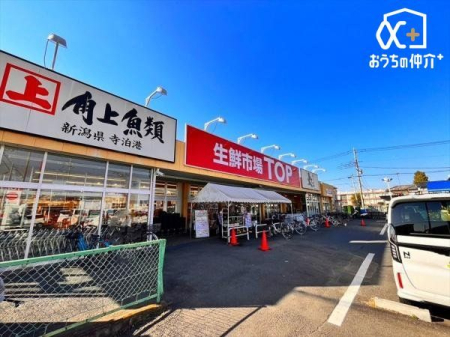 ���ӊ� ���N�s��TOP �c�ԓX �k��6���B�c�Ǝ���9�F00-21�F00 420m