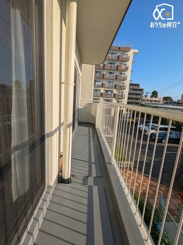 �o���R�j�[ �J�������錩���炵�̗ǂ��o���R�j�[