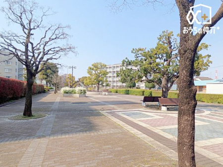 ���̑� ���}���V�����̕~�n���̌e���̏�B�O�œǏ����y���񂾂�A�y���^���Ȃǂ������ł��傤���B