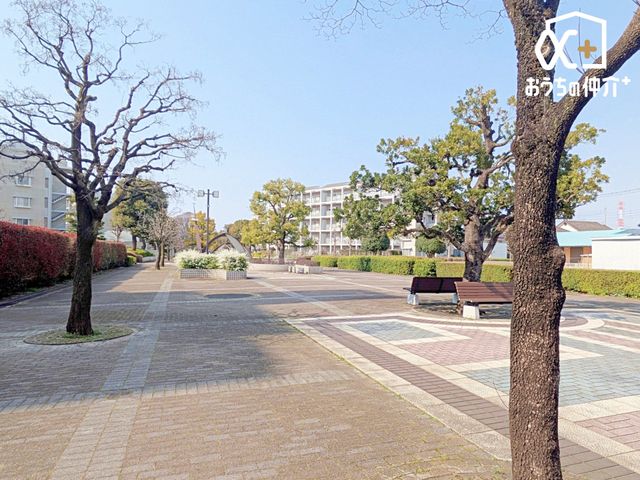���̑� ���}���V�����̕~�n���̌e���̏�B�O�œǏ����y���񂾂�A�y���^���Ȃǂ������ł��傤���B
