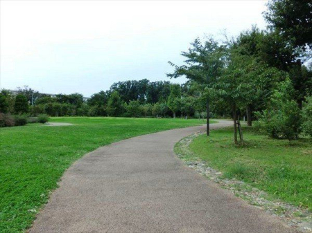 周辺環境 萩山四季の森公園 徒歩12分。見通しが良く開放感のある芝生広場。 マンション敷地南側の『狭山・境緑道』の桜並木と合わせ、新たな桜の名所として育成。 930m