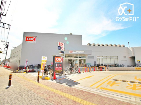 ���ӊ� �I�[�P�[ �V���ΐ_�X �k��9���B2025/4/8�@OPEN�I�@�c�Ǝ��ԁF8�F30-21:30�@�w���i���EEveryday Low Price�x�f�B�X�J�E���g�Z���^�[�I�@���ԏ�F100�� 700m