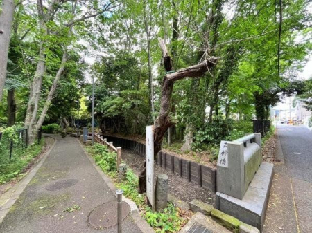 周辺環境 柳窪緑地保全地域 徒歩30分。遊歩道が設置されていて市民の憩いの散策路です。 2340m