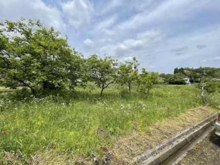 現地土地写真 南道路につき日当たり良好！