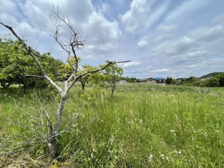 現地土地写真 敷地は陽当りも良く、住環境も良好でとても暮らしやすいお住まいが実現します。現地にて陽当り具合もお確かめいただけます！