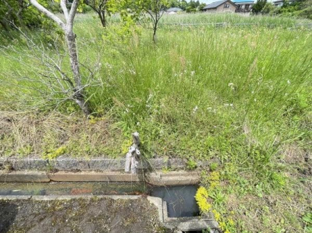 現地土地写真 現地をご覧になってみませんか？