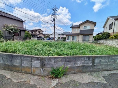 その他 2024.8.8撮影