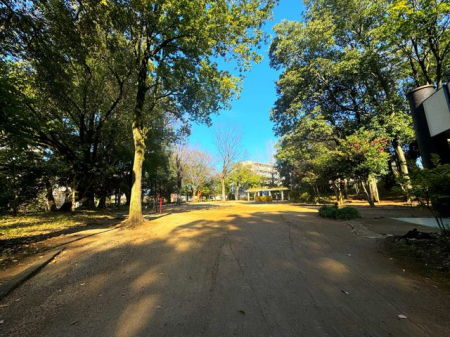 周辺環境 椿峰中央公園 徒歩7分。閑静な道並みの中にある広い公園。緑も豊かで落ち着く環境です。 530m