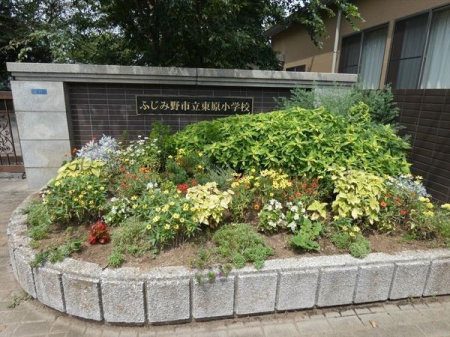 周辺環境 ふじみ野市立東原小学校 徒歩16分。 1210m