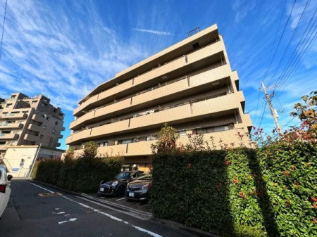 その他 現地にて日当り具合もお確かめいただけます
