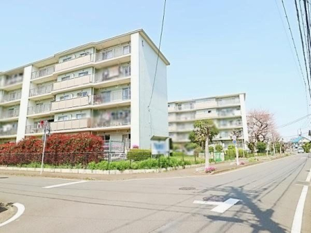 その他 小学校まで約480ｍ