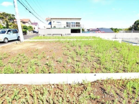 その他 2024.5.9撮影