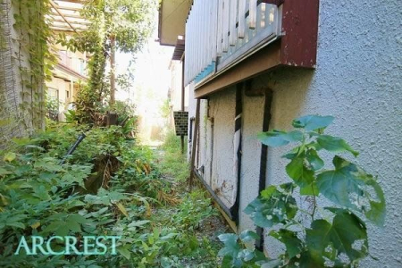 その他 その他現地