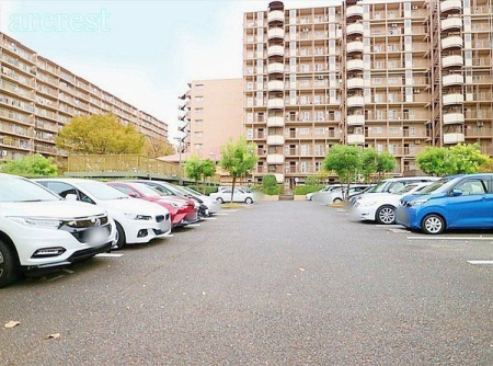 駐車場 平面駐車場(空き状況はご確認ください)