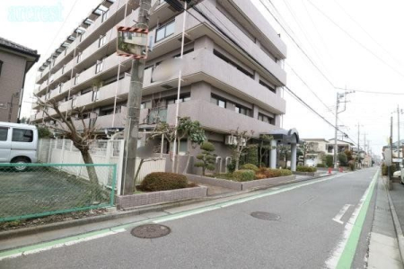 その他 前面道路の様子