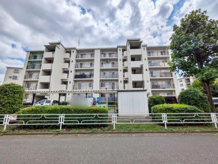 その他 2024.8.23撮影の様子です