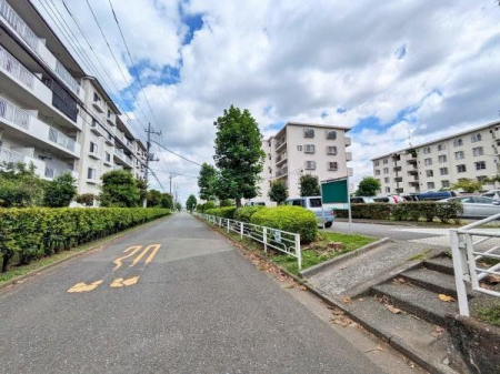 その他 2024.8.23撮影の様子です