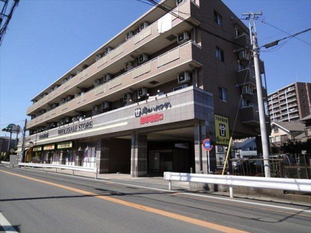 周辺環境 肉のハナマサひばりヶ丘店 徒歩4分。営業時間：午前9時～0時 駐車場：有 250m