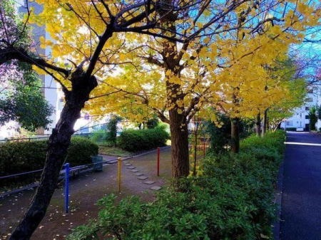 その他 敷地内公園です。