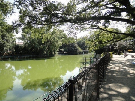 周辺環境 武蔵関公園 徒歩17分。園内ではたくさんの野鳥が見られます。 カワセミ、バン、カルガモ、コゲラ、カイツブリ、ゴイサギ、オシドリなど。 1360m