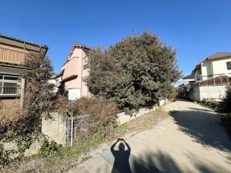 現地外観写真 南側からの外観の様子