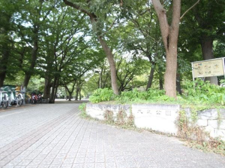 周辺環境 大泉公園 徒歩13分。栄八条通り沿いに位置している広々とした公園です。 ちょっとした遊具や自転車レンタル、水場があります。 1010m