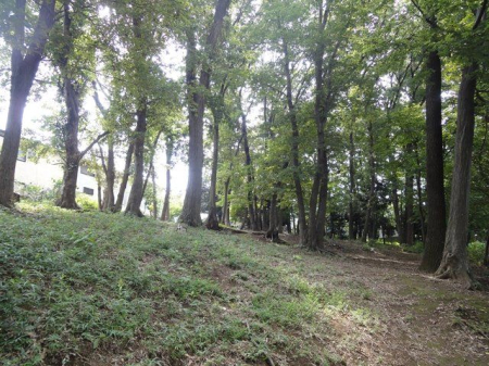 周辺環境 1号片山緑地 徒歩10分。 730m